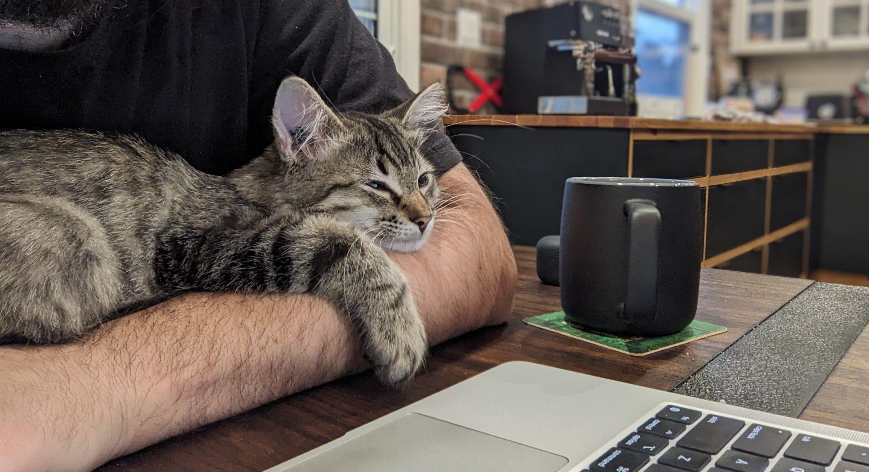 Ian sitting at a desk smiling, with a cat laying in his arms looking at the screen.